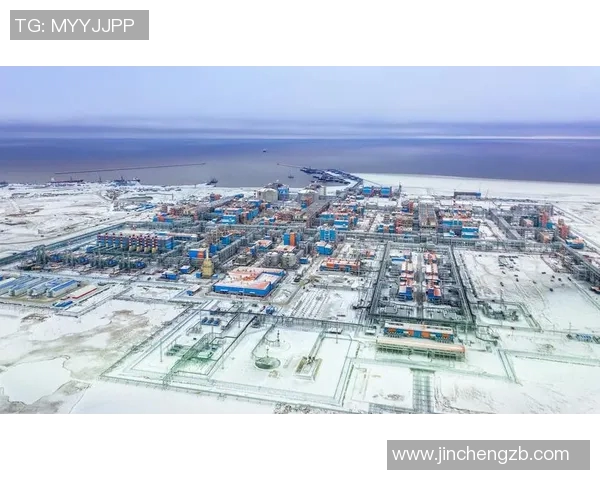 亚马尔地区的资源开发与国际合作新机遇分析